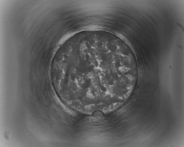 X0000101951429200808081456