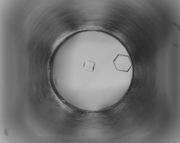 X0000101951430200808081456