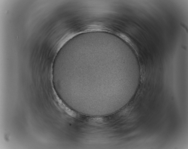 X0000101951431200808081456