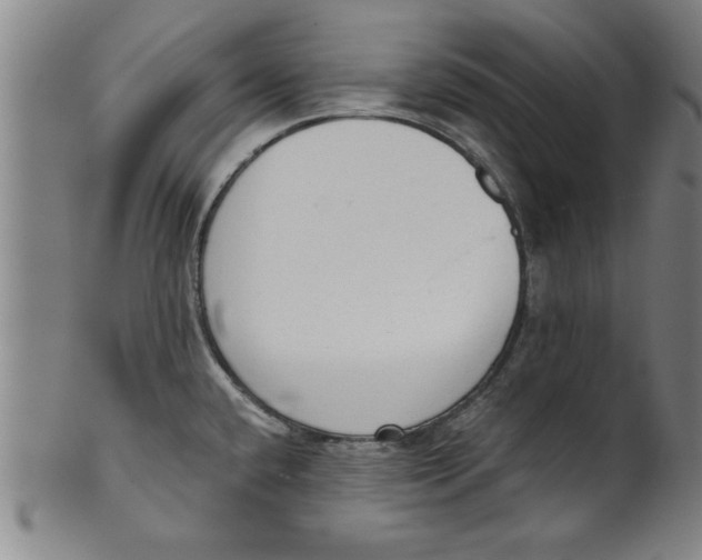 X0000101951432200808081456