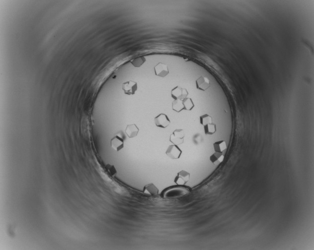 X0000101951433200808081456