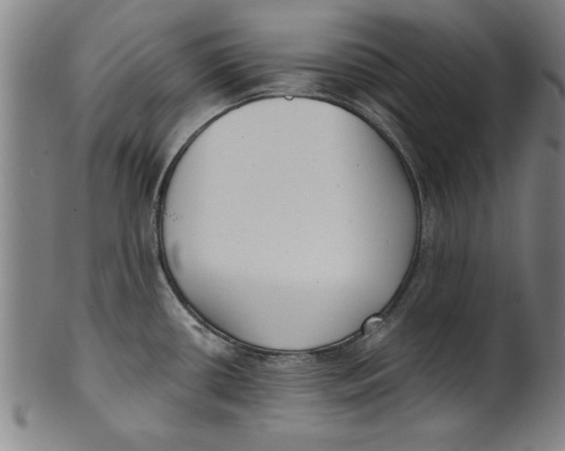 X0000101951434200808081456