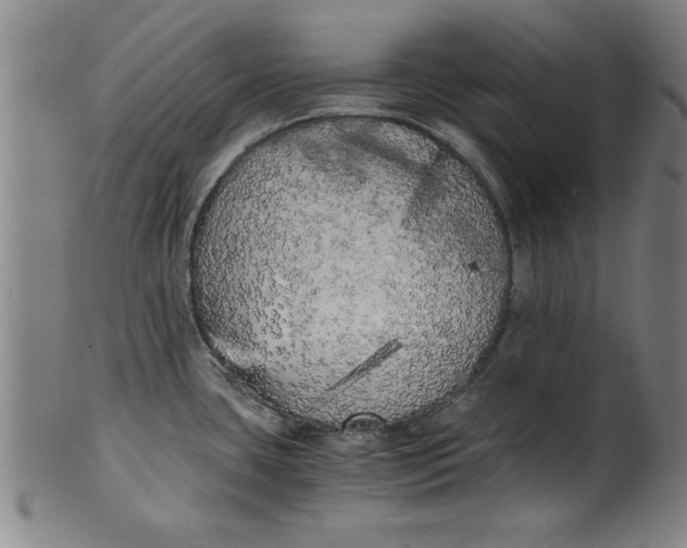 X0000101951435200808081456