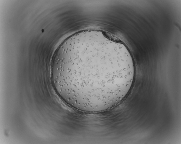 X0000101951436200808081456