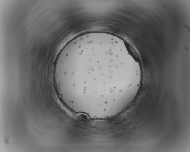 X0000101951437200808081456