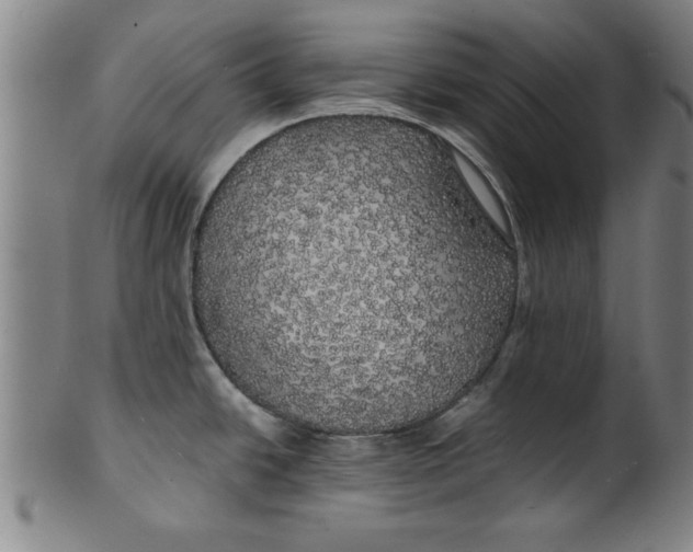 X0000101951438200808081456