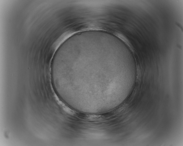 X0000101951439200808081456