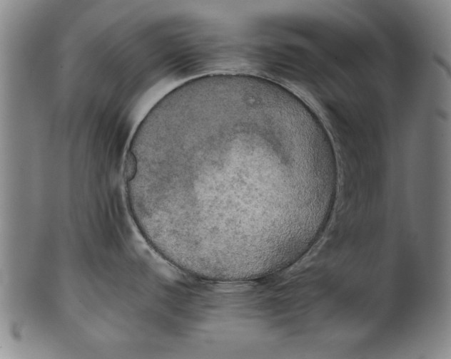 X0000101951440200808081456