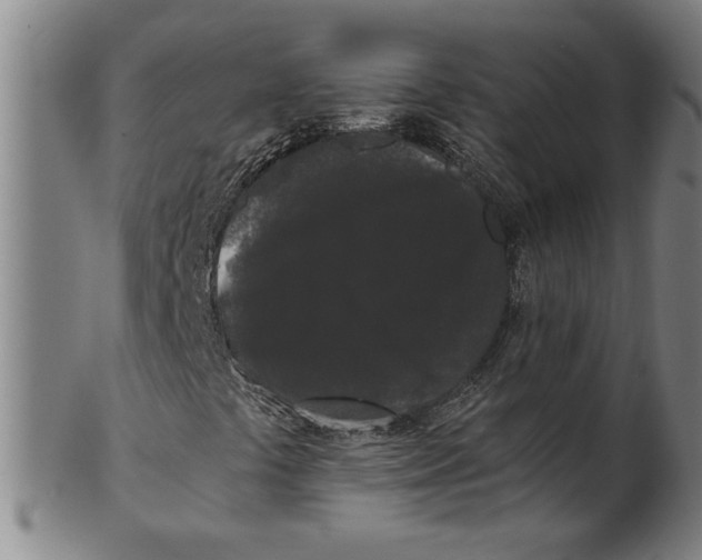 X0000101951441200808081455