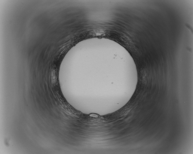 X0000101951442200808081455