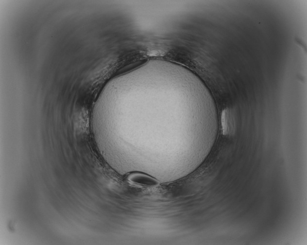 X0000101951443200808081455