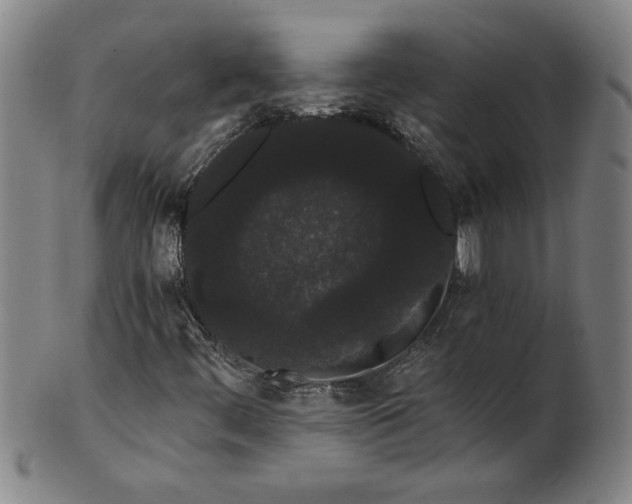 X0000101951444200808081455