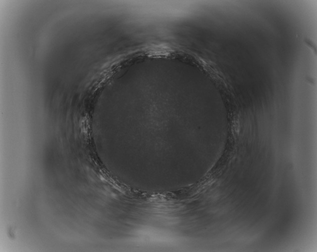 X0000101951445200808081455