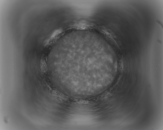 X0000101951446200808081455