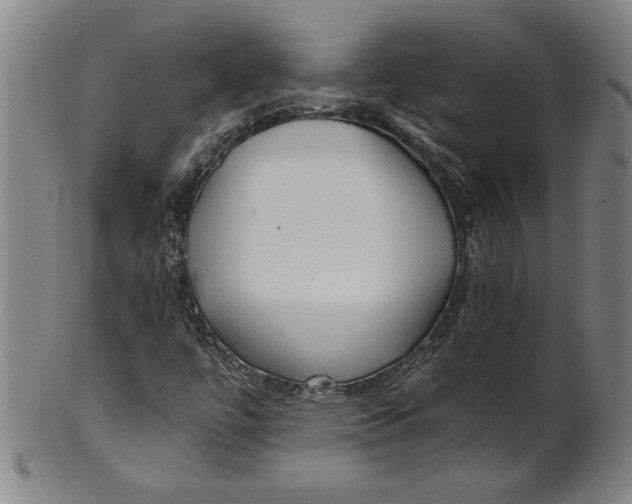 X0000101951447200808081455