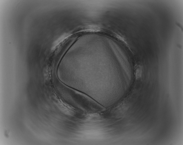 X0000101951448200808081455