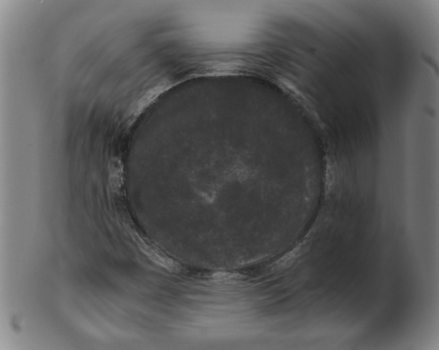 X0000101951449200808081455