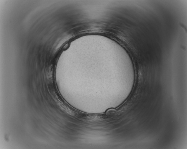 X0000101951450200808081455