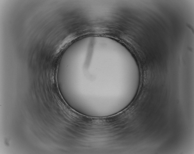 X0000101951451200808081455