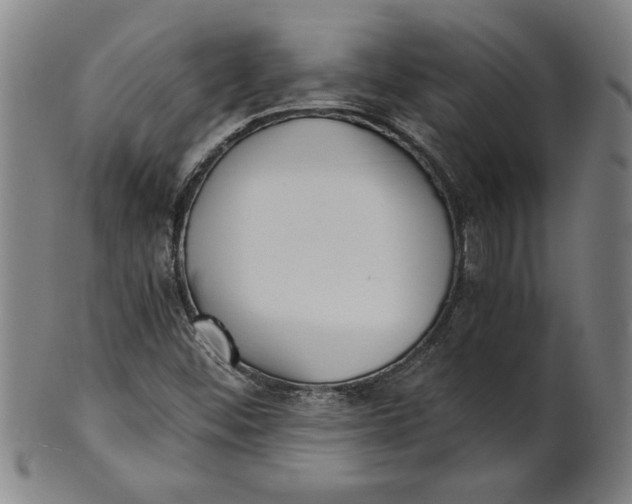 X0000101951452200808081455