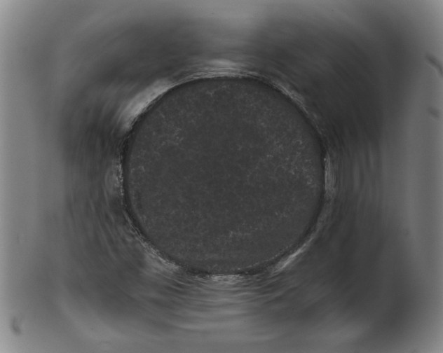 X0000101951453200808081455