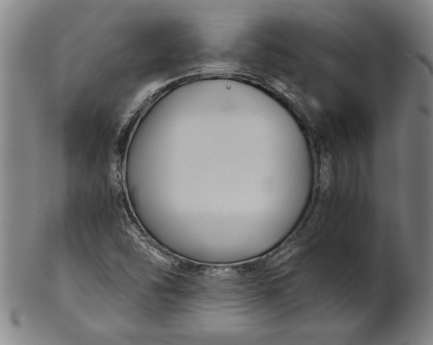 X0000101951454200808081455