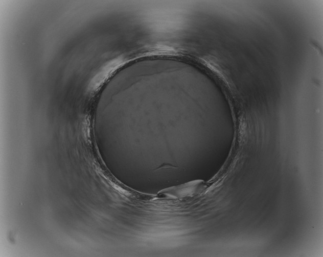 X0000101951455200808081455