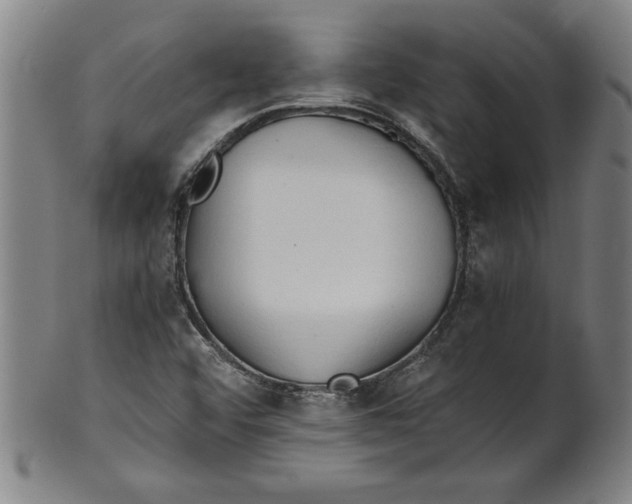 X0000101951456200808081455