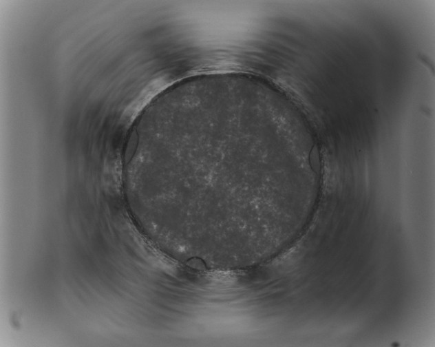 X0000101951457200808081455