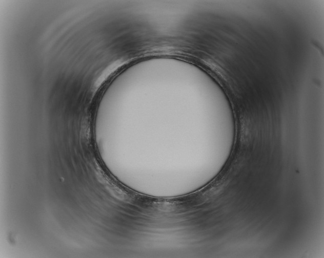 X0000101951458200808081455