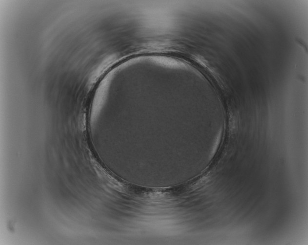 X0000101951459200808081455