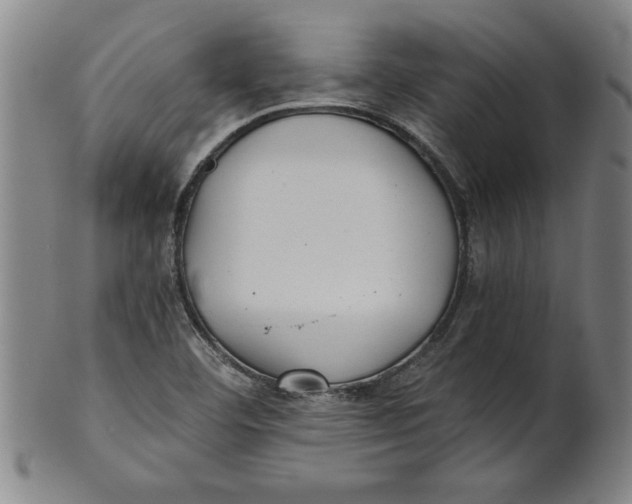 X0000101951460200808081455