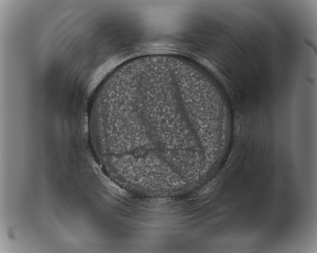 X0000101951461200808081455