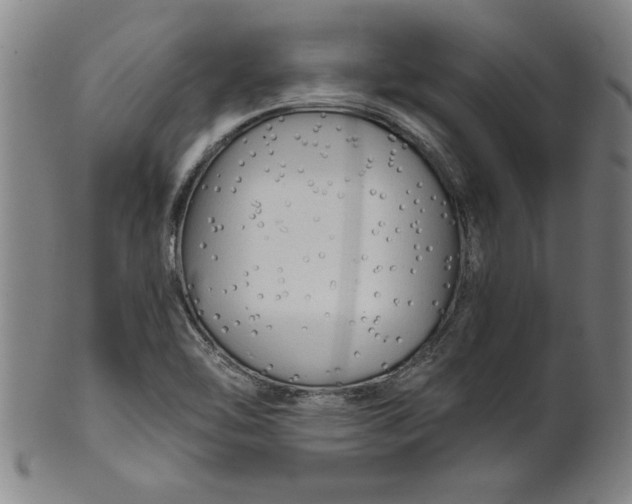 X0000101951462200808081455