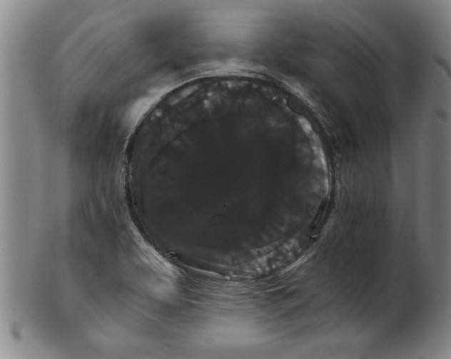 X0000101951463200808081455