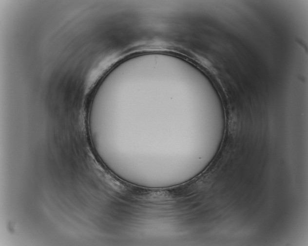 X0000101951464200808081455