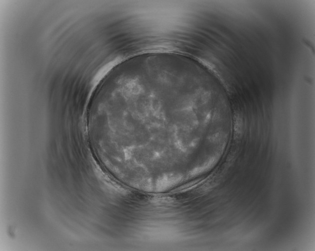 X0000101951466200808081455