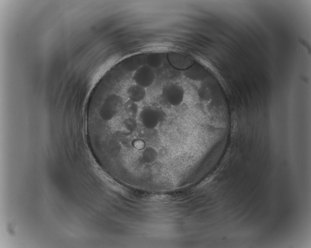 X0000101951467200808081455