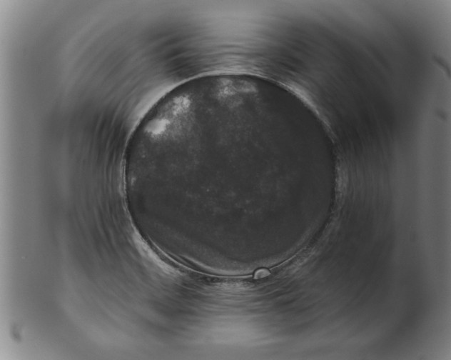 X0000101951468200808081455