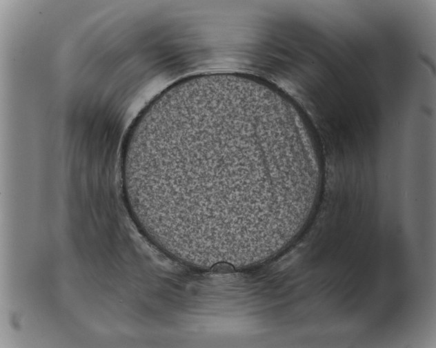 X0000101951469200808081455