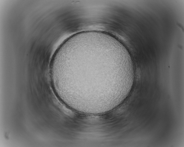 X0000101951470200808081455