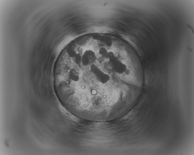 X0000101951471200808081454