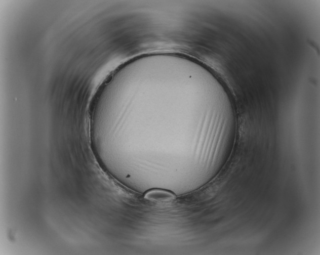 X0000101951472200808081454