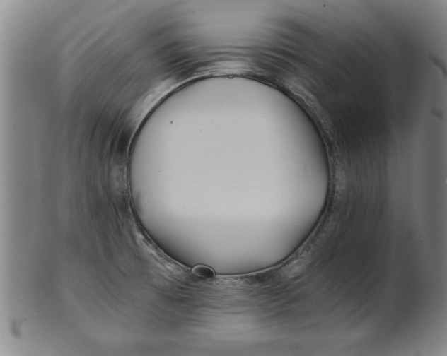 X0000101951473200808081454