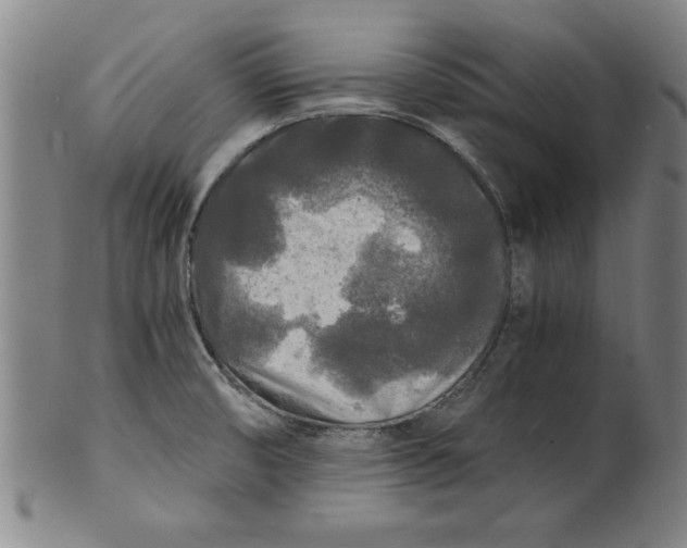 X0000101951474200808081454