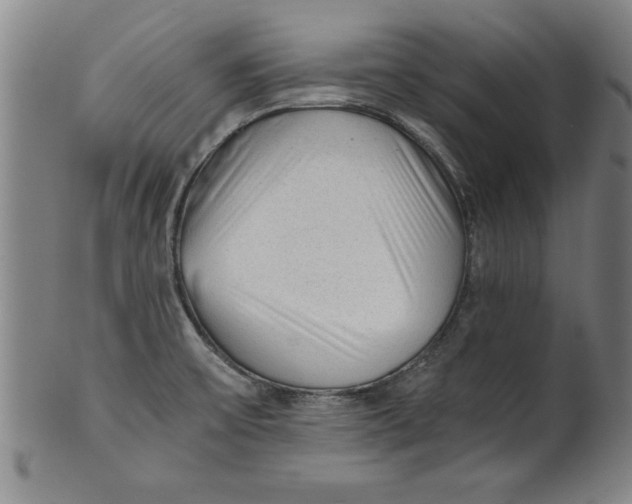 X0000101951475200808081454