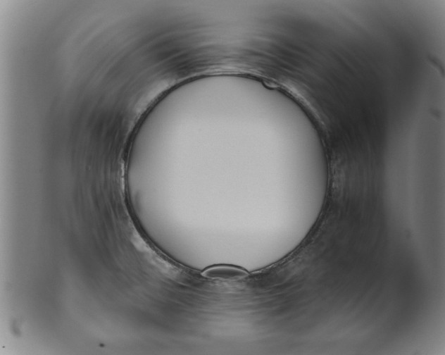 X0000101951476200808081454