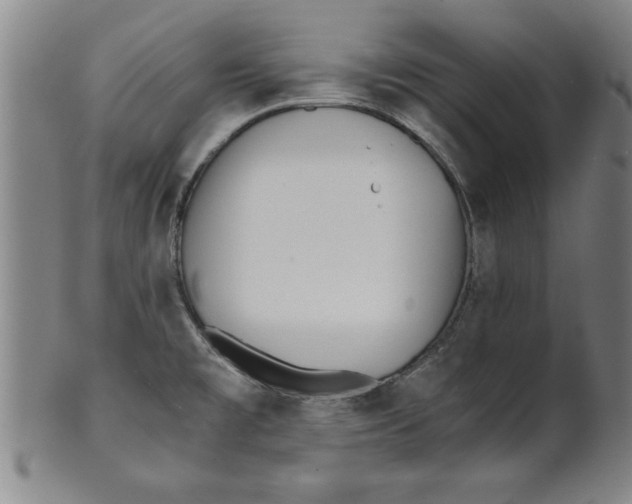 X0000101951477200808081454