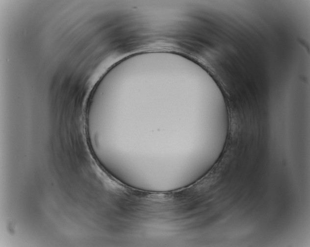 X0000101951478200808081454