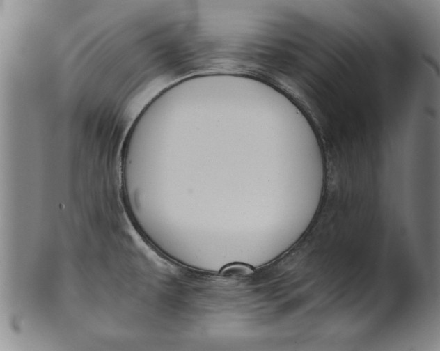 X0000101951479200808081454